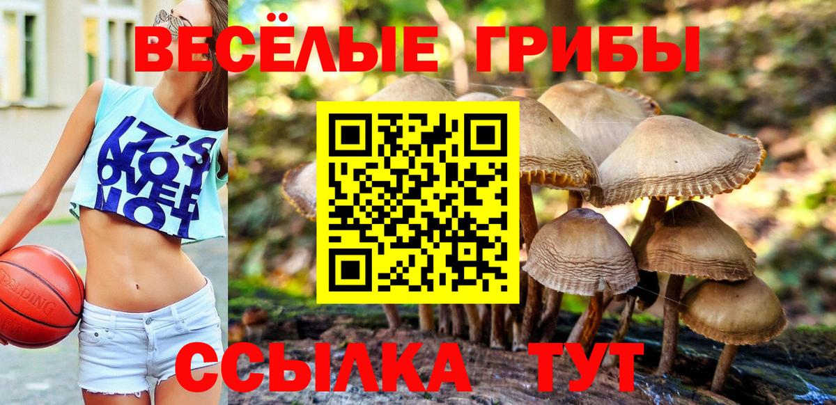 Галлюциногенные грибы GOLDEN TEACHER  Вход с VPN  Псилоцибиновые грибы GOLDEN TEACHER  Ноябрьск 