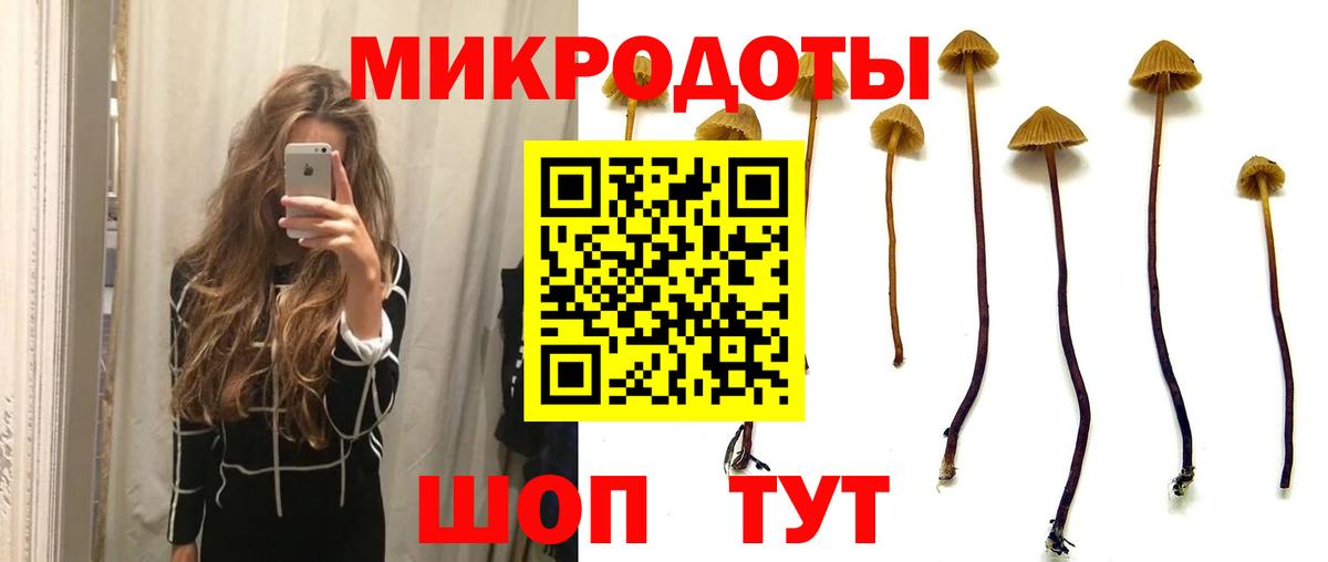 Псилоцибиновые грибы MAGIC MUSHROOMS Ноябрьск